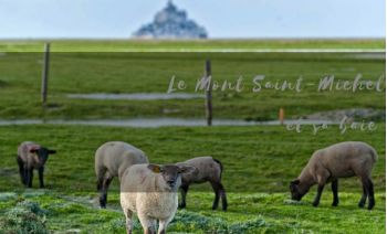 Mont-Saint-Michel